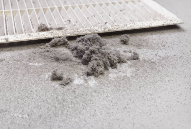 Best Local Air Duct Cleaning Services  in Kenova, WV