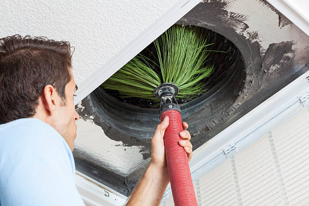 Best Air Vent Cleaning Services  in Kenova, WV
