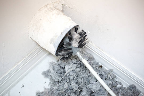 Best Home Air Vent Cleaning  in Kenova, WV